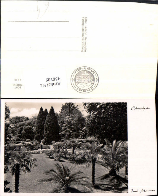 458705, Mainau Island in Lake Constance, Palm Grove