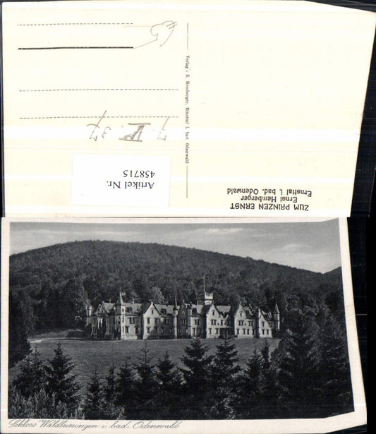 458715, Waldleiningen Castle near Mudau in the Odenwald