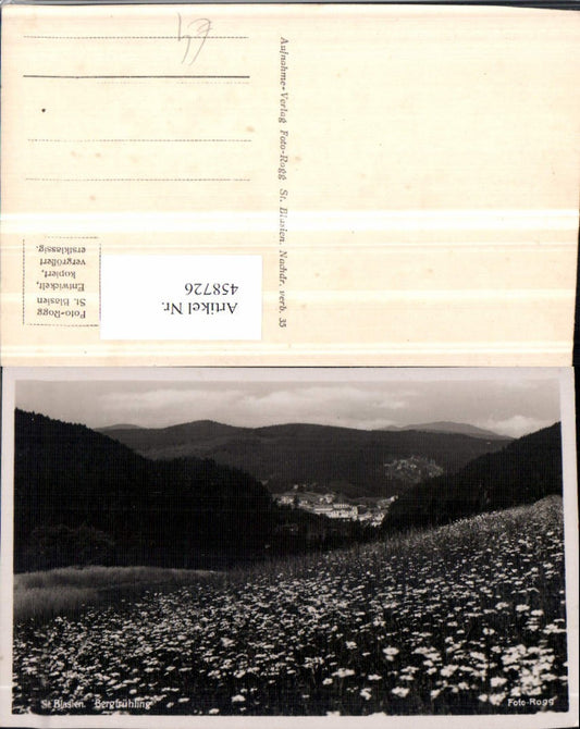 458726, St. Blasien Mountain Spring Flower Meadow