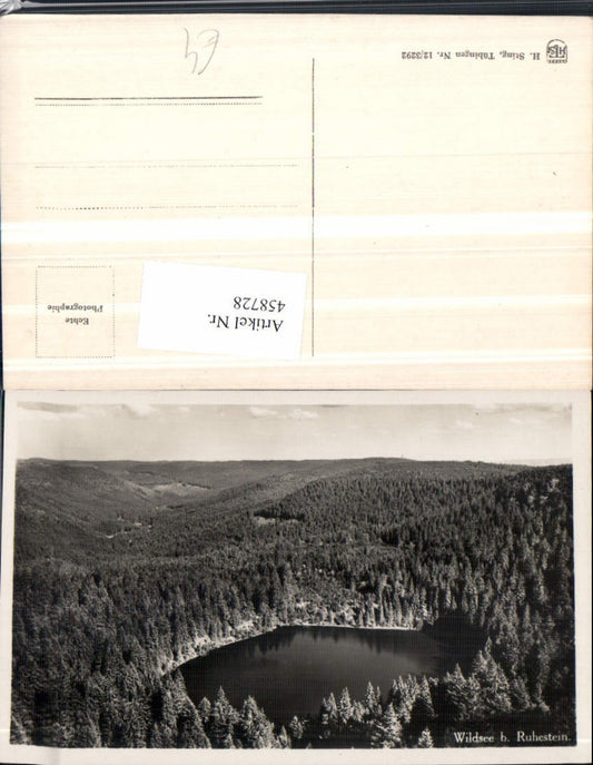 458728, Wildsee Lake near Ruhestein Forest