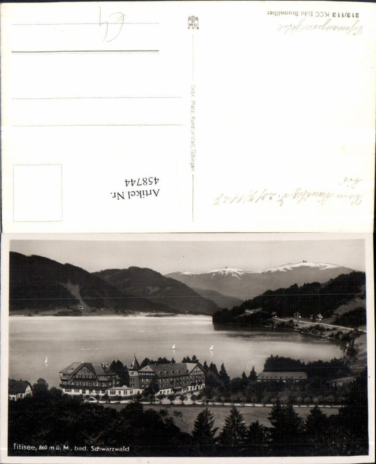 458744,Titisee im Schwarzwald Hotel See Bergkulisse
