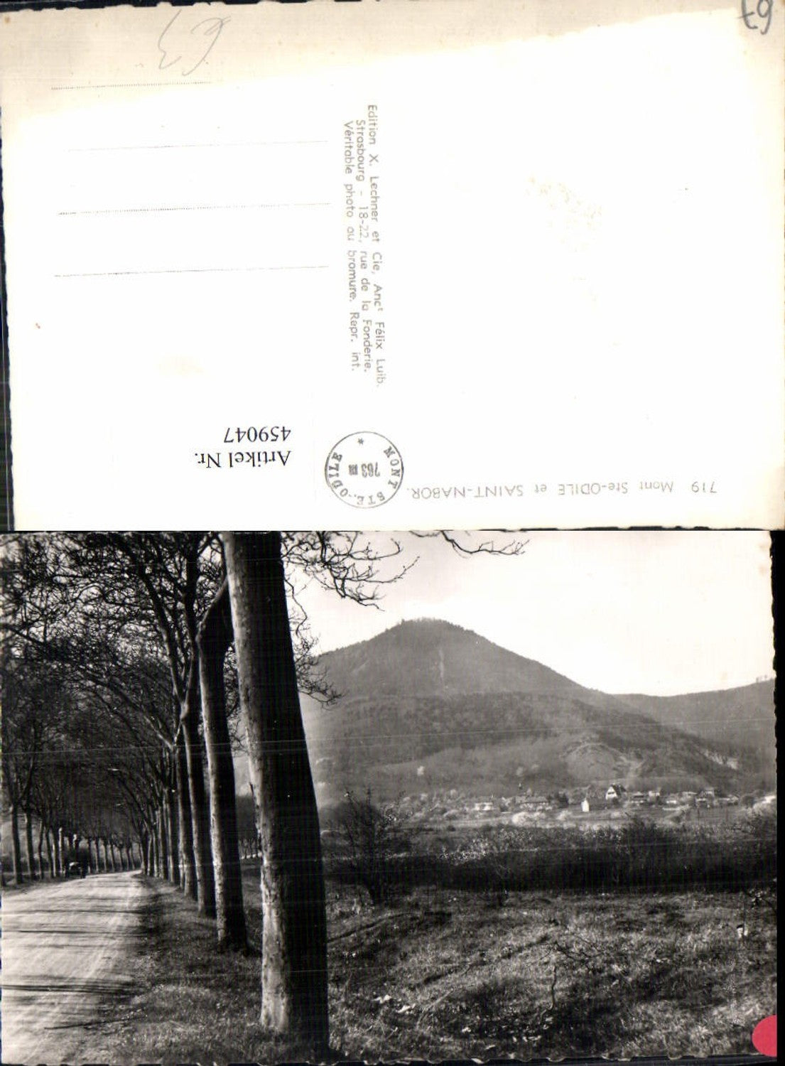 459047,Alsace Bas-Rhin Mont-Ste-Odile et Saint-Nabor