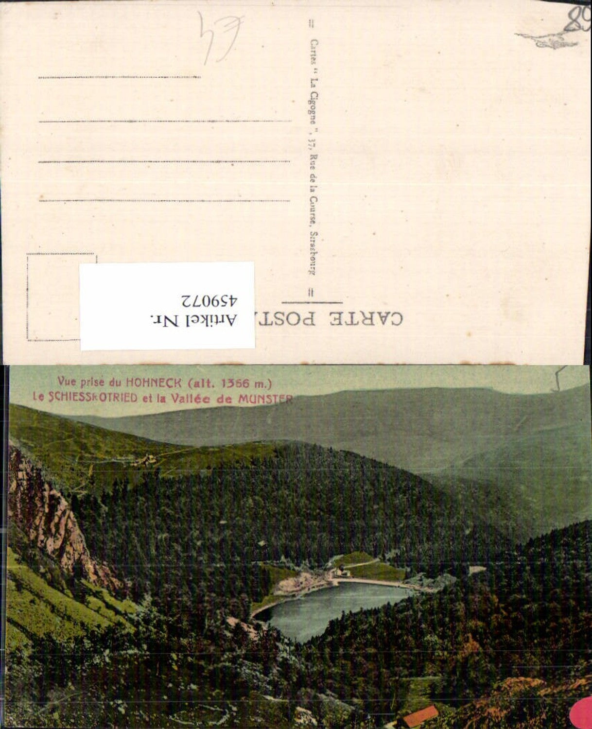 459072,Elsass Haut-Rhin Vue pise du Hohneck Le Schiessrotried et la Vallee de Munster