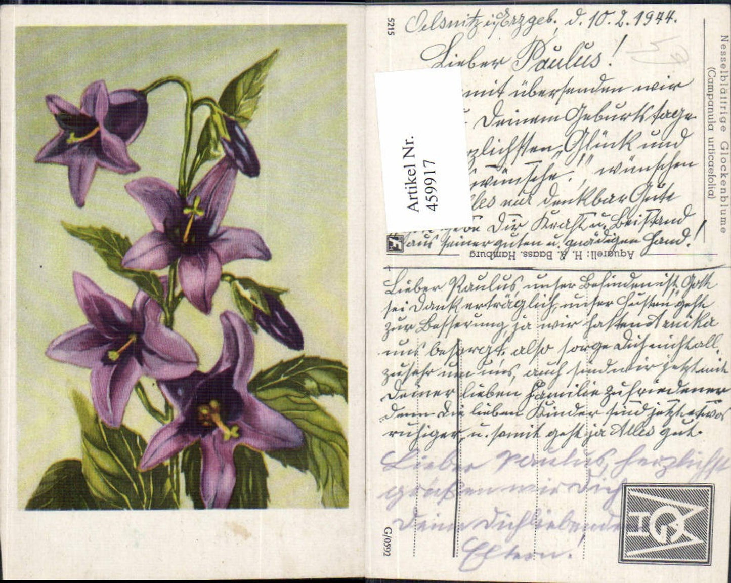 Alte Ansichtskarte – Old Postcard