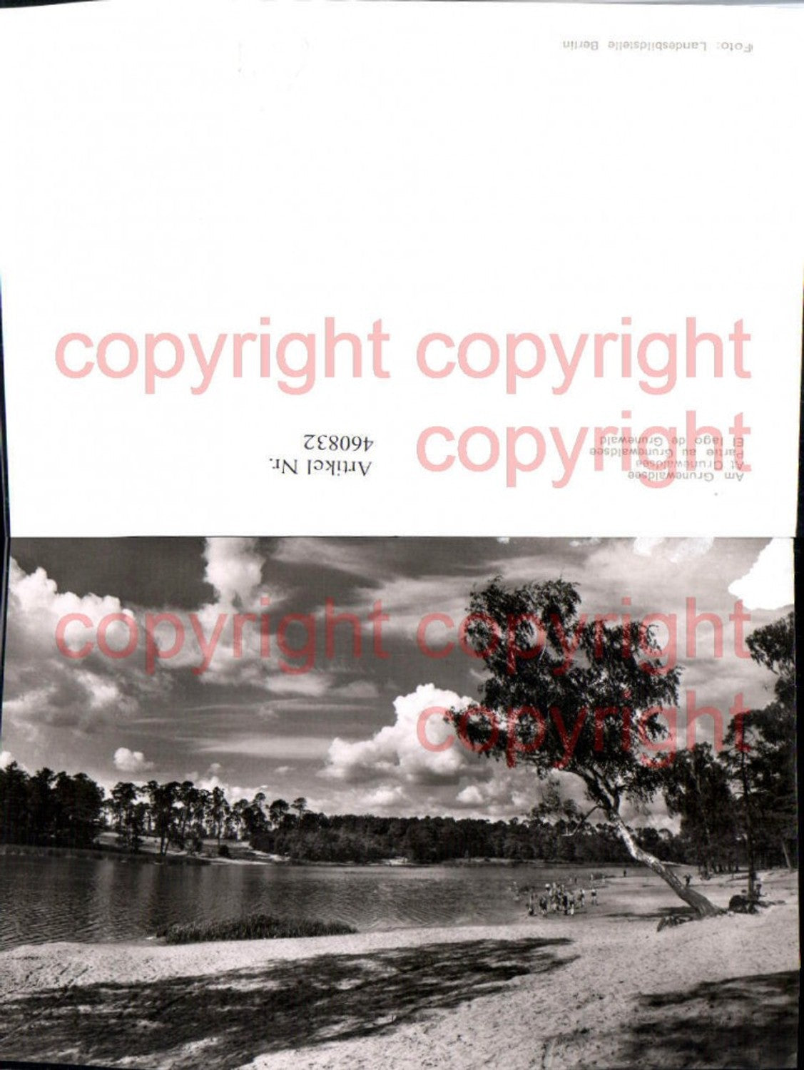 460832,Berlin Grunewaldsee See Partie