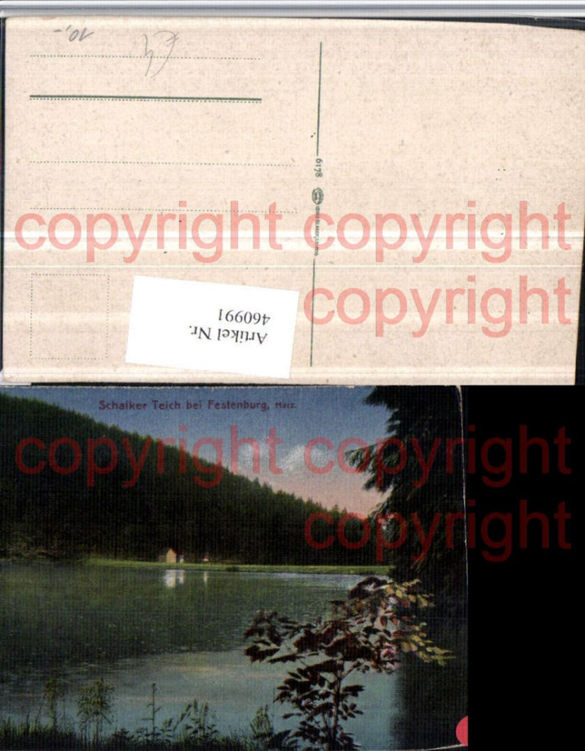 460991,Schalker Teich b. Festenburg im Harz