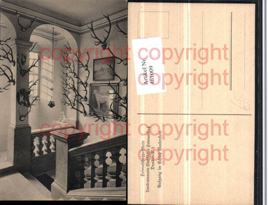 461009,Schloss Weesenstein b. Müglitztal Aufgang Trophäen