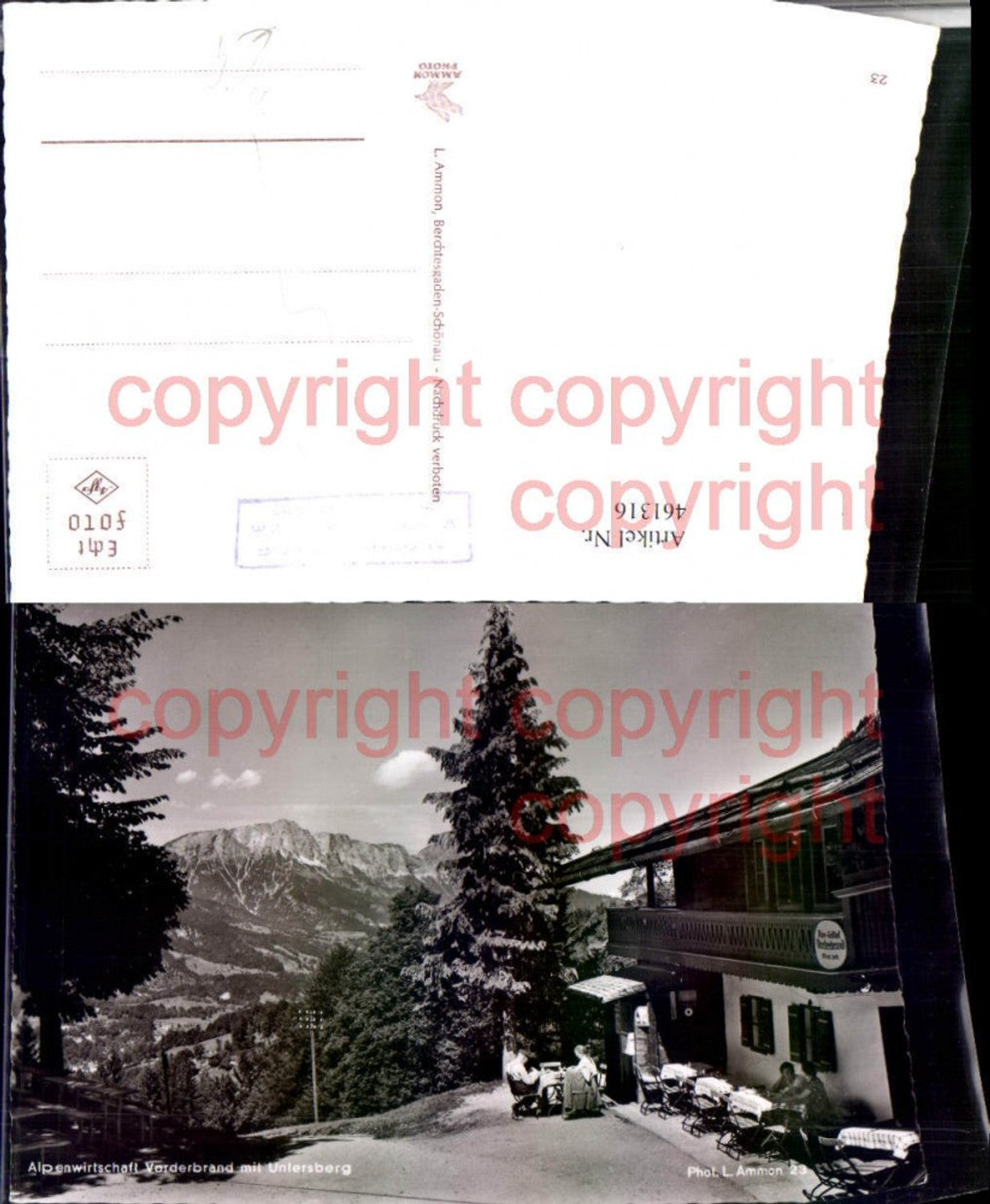 461316,Alpenwirtschaft Vorderbrand b. Berchtesgaden m. Untersberg Bergkulisse