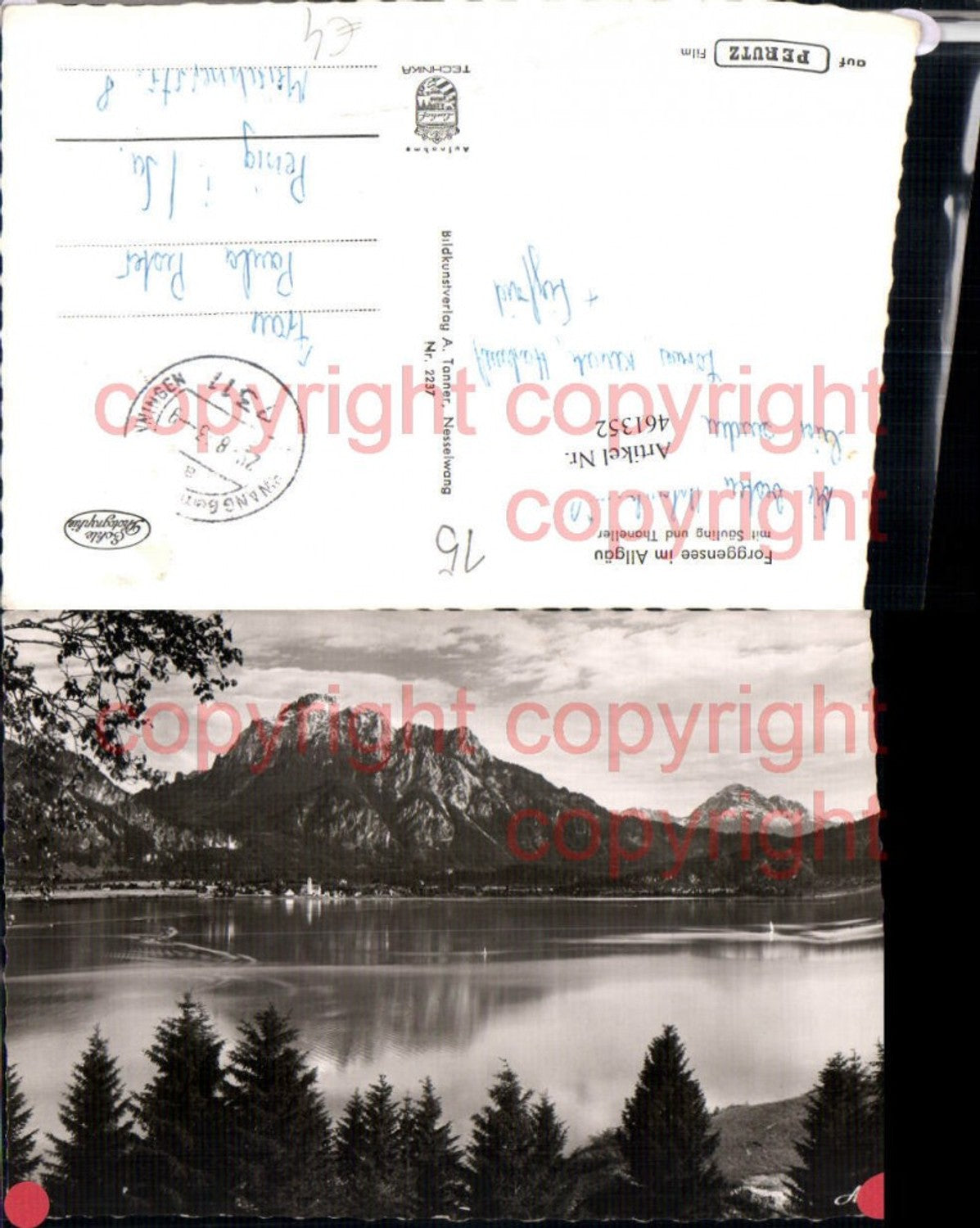 461352,Forggensee See im Allgäu b. Füssen Bergkulisse