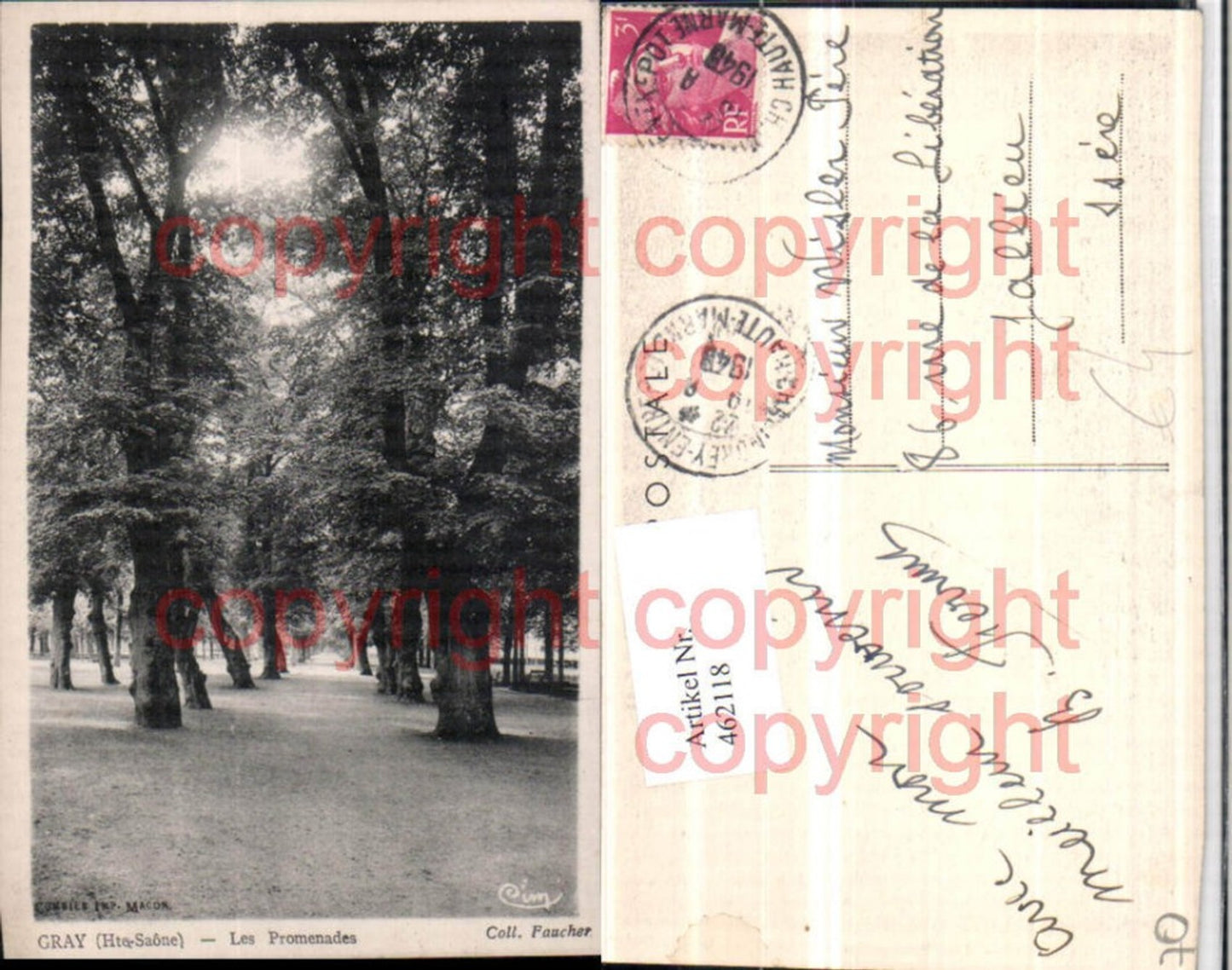 462118,Franche-Comte Jura Gray Les Promenades Allee Bäume