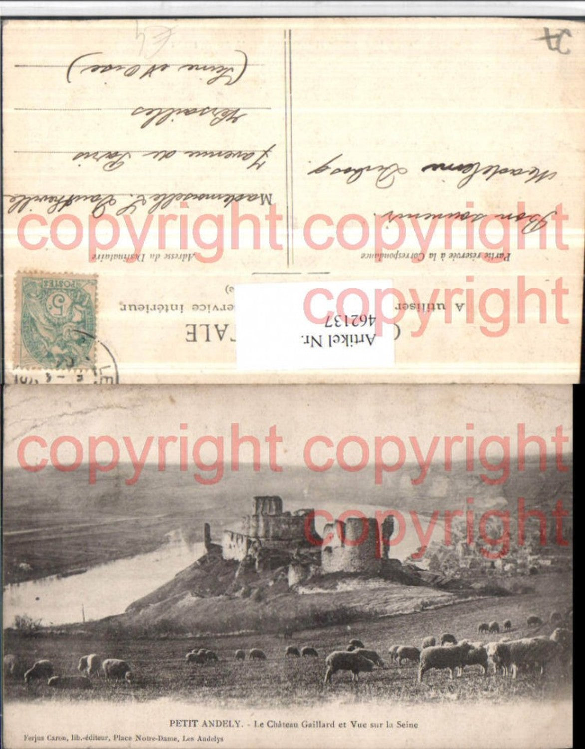 462137,Haute-Normandie Eure Petit Andely Chateau Gaillard Schloss Schafe
