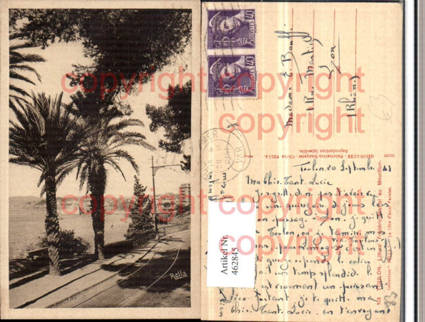 462845,Provence-Alpes-Cote-Azur Var Toulon Littoral Frederic-Mistral Mourillon Palmen