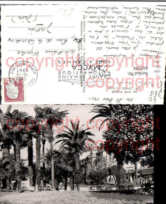 462904,Provence-Alpes-Cote-Azur Alpes-Maritimes Cannes Le Jardin Park Palmen