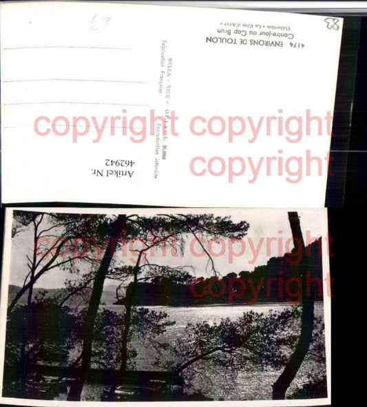 462942,Provence-Alpes-Cote-Azur Var Toulon Contre-jour au Cap Brun Küste