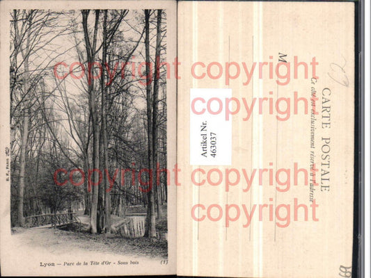 463037,Rhone-Alpes Rhone Lyon Parc de la Tete d'Or Sous bois Park
