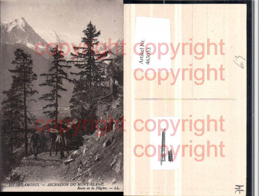 463053,Rhone-Alpes Haute-Savoie Chamonix Ascension Mont-Blanc Route Flegere Bergkulisse