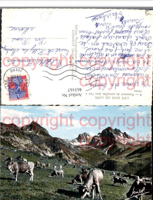 463167,Rhone-Alpes Isere Tintement de sonnailles des cimes Rinder Bergkulisse