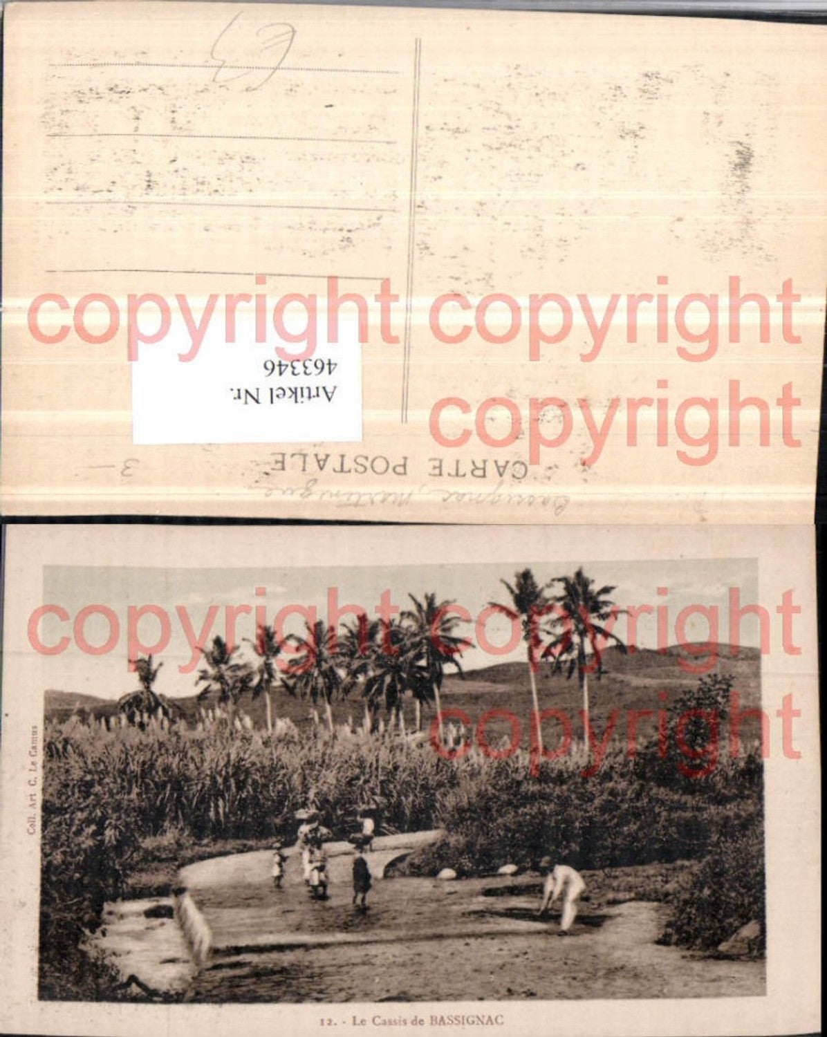 463346,Martinique Le Cassis de Bassignac Volkstypen Palmen