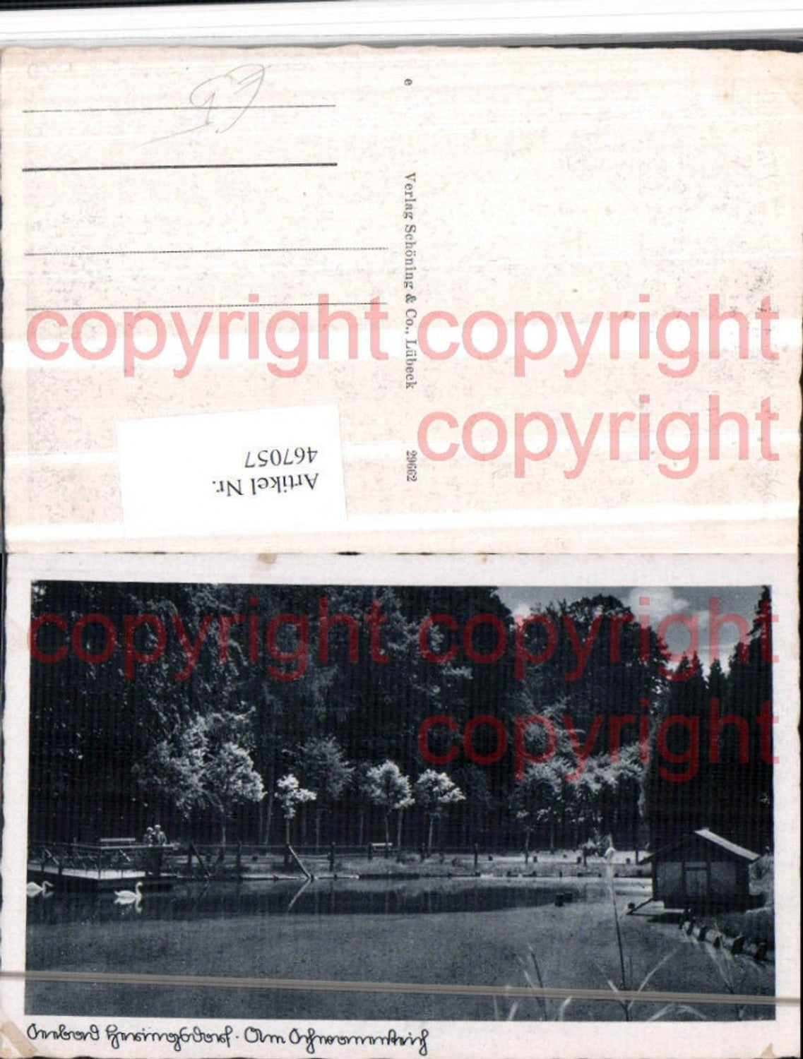 467057,Bad Heringsdorf Schwanenteich Teich