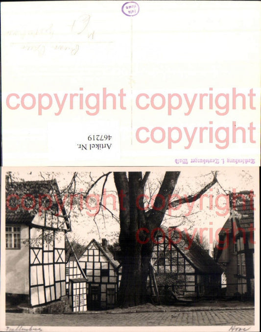 467219,Tecklenburg im Teutoburger Wald Riesen Großer Baum