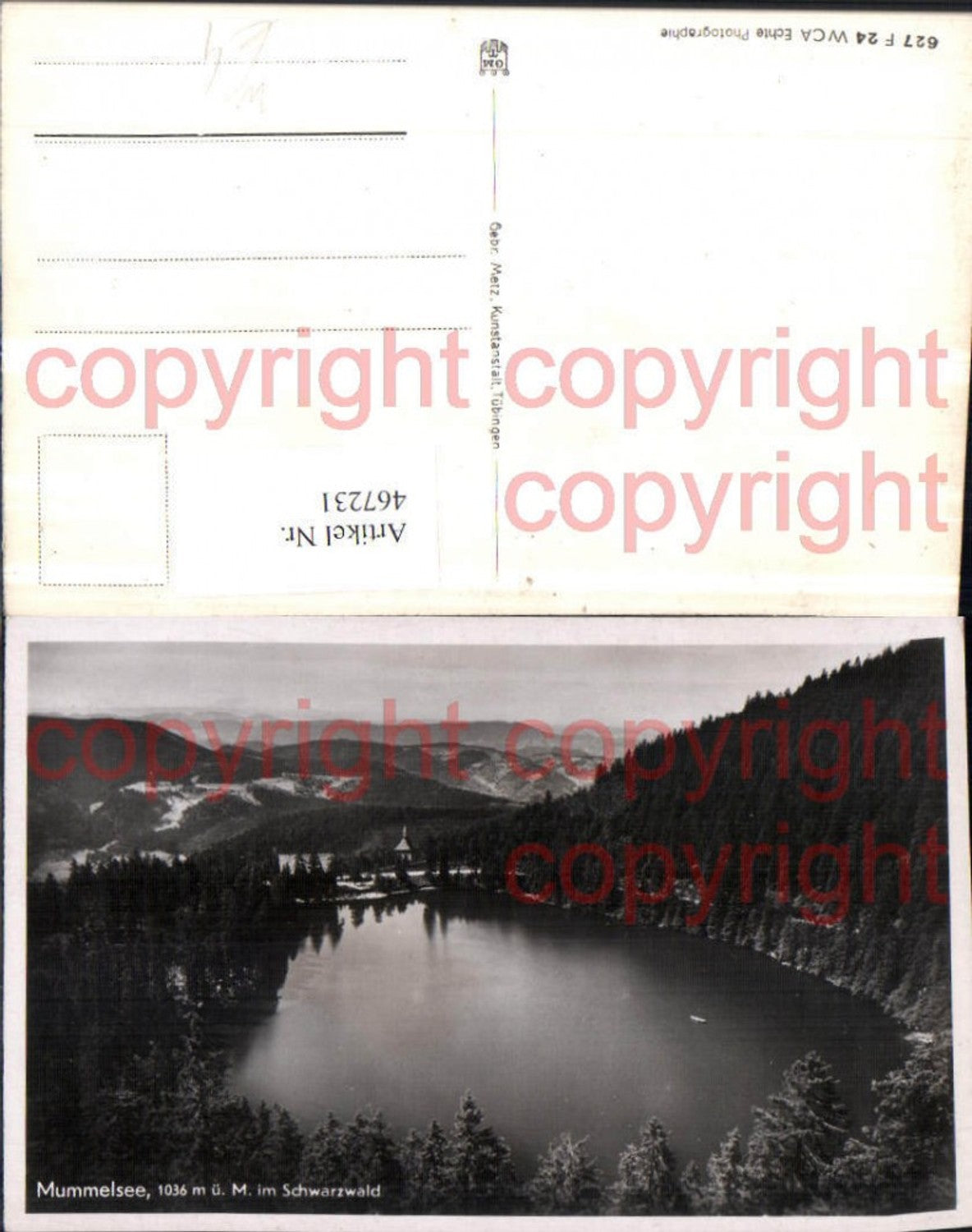 467231,Mummelsee Lake in the Black Forest b. Seebach