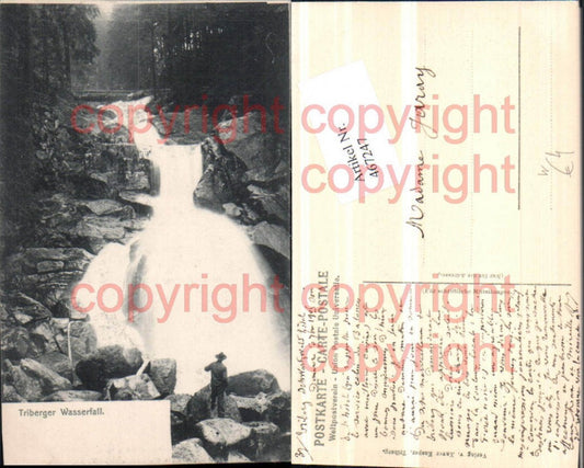 467247,Triberg Triberger Wasserfall