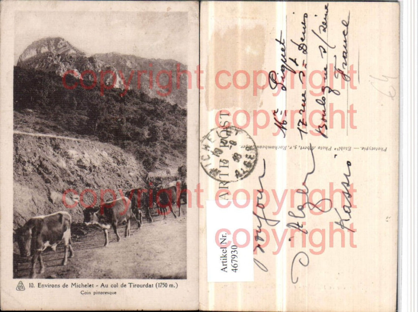 467930,Algeria Michelet Col de Tirourdat Pass Rinder Bergkulisse