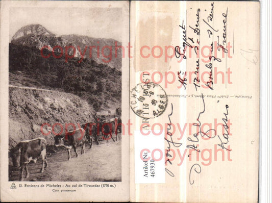 467930,Algeria Michelet Col de Tirourdat Pass Rinder Bergkulisse
