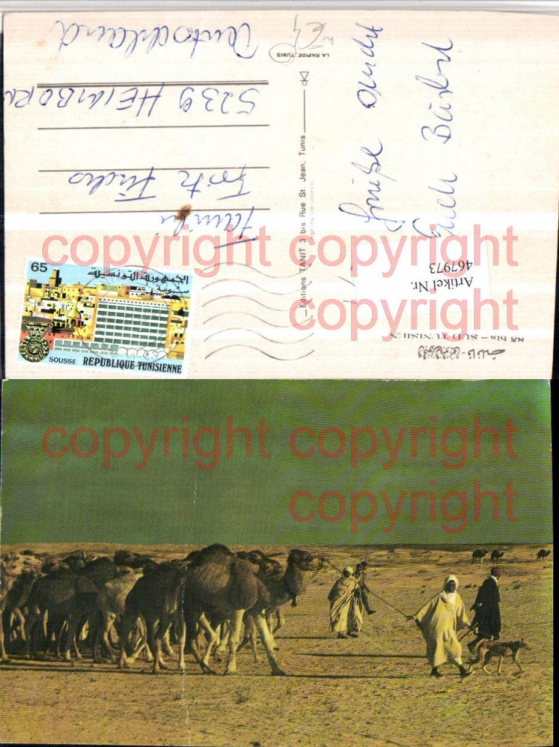 467973,Tunisia Sud Tunisien Tunis Nomaden Kamele Wüste