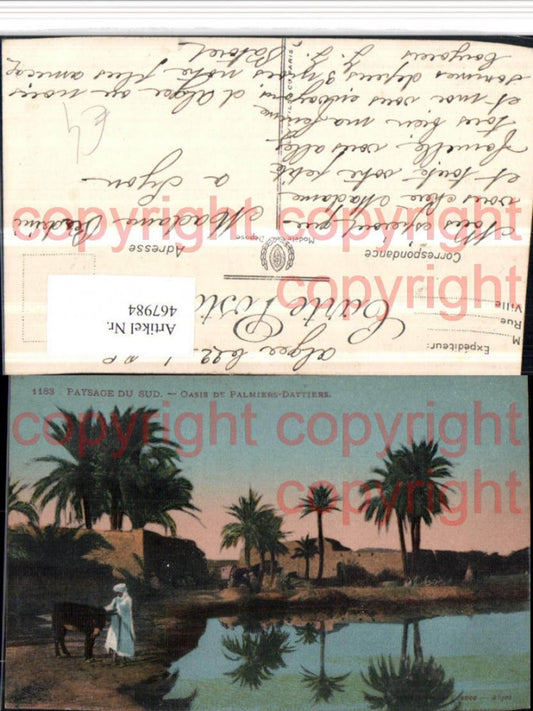 467984,Algeria Paysage du Sud Oasis de Palmiers-Dattiers Oase Palmen