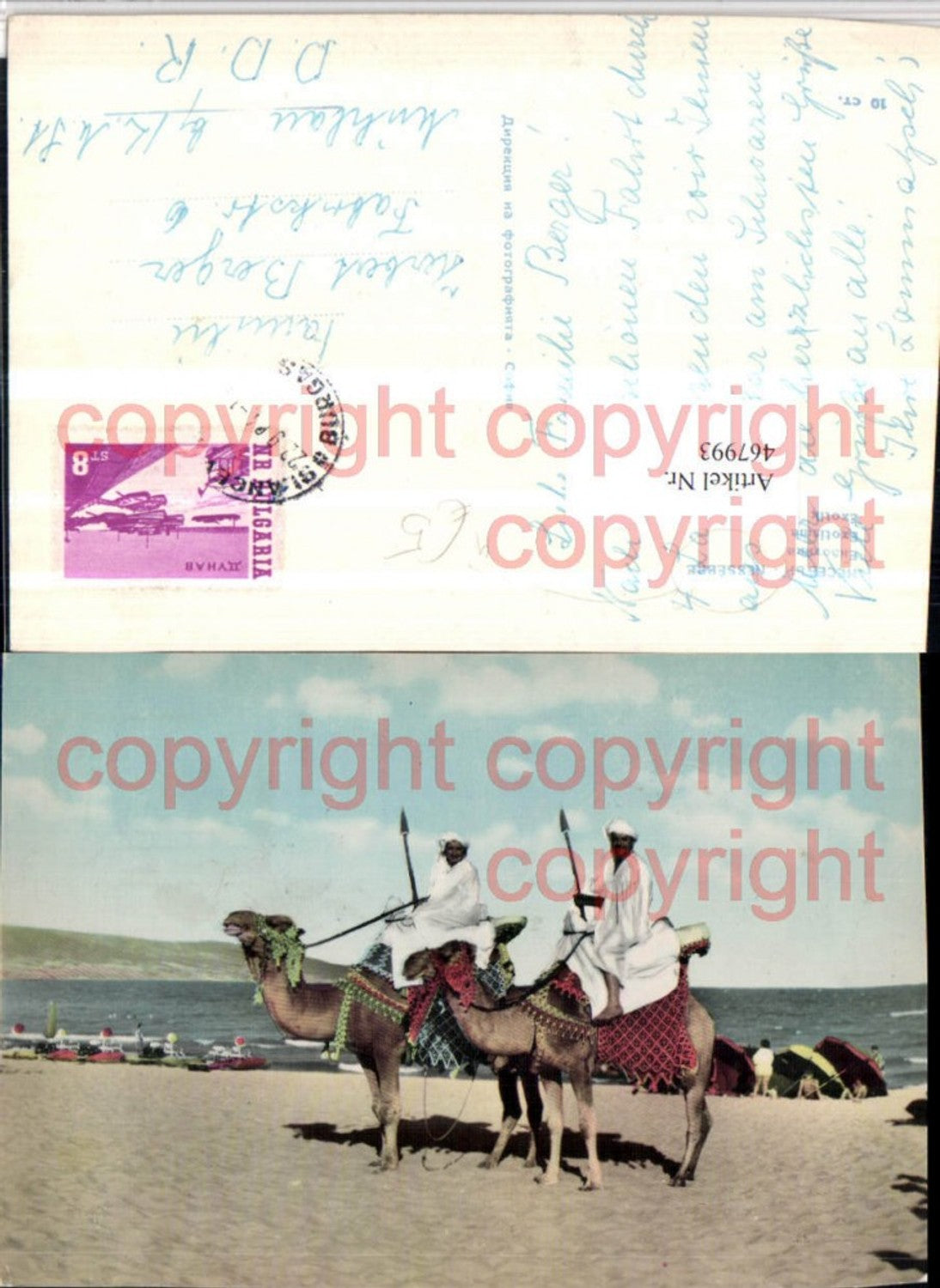 467993,Bulgaria Nessebre Nessebar Exotik Volkstypen Kamele