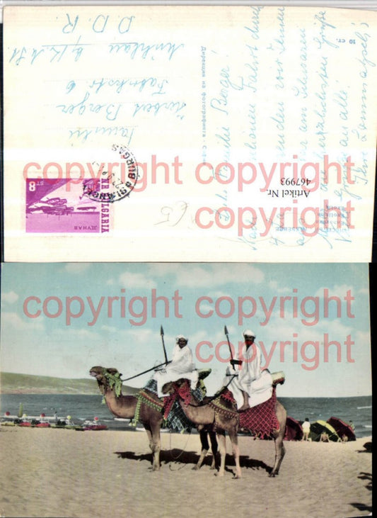 467993,Bulgaria Nessebre Nessebar Exotik Volkstypen Kamele