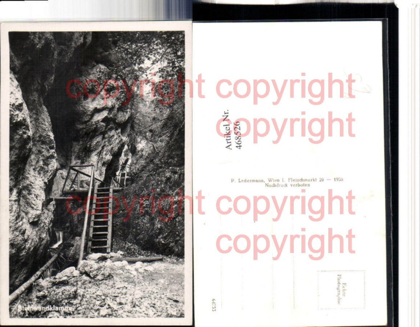 468526,Steinwandklamm Klamm b. Weissenbach an d. Triesting Leiter