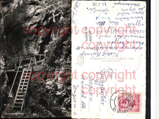 468528,Steinwandklamm Klamm b. Weissenbach an d. Triesting Leiter