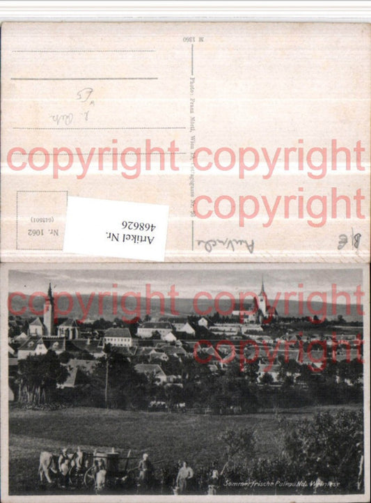 468626,Pulkau Totale Weinlese