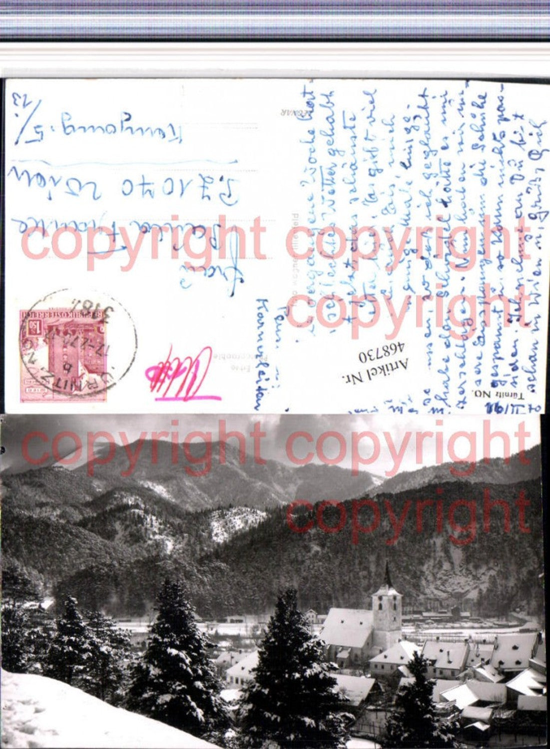 468730,Türnitz Teilansicht Bergkulisse Winterbild