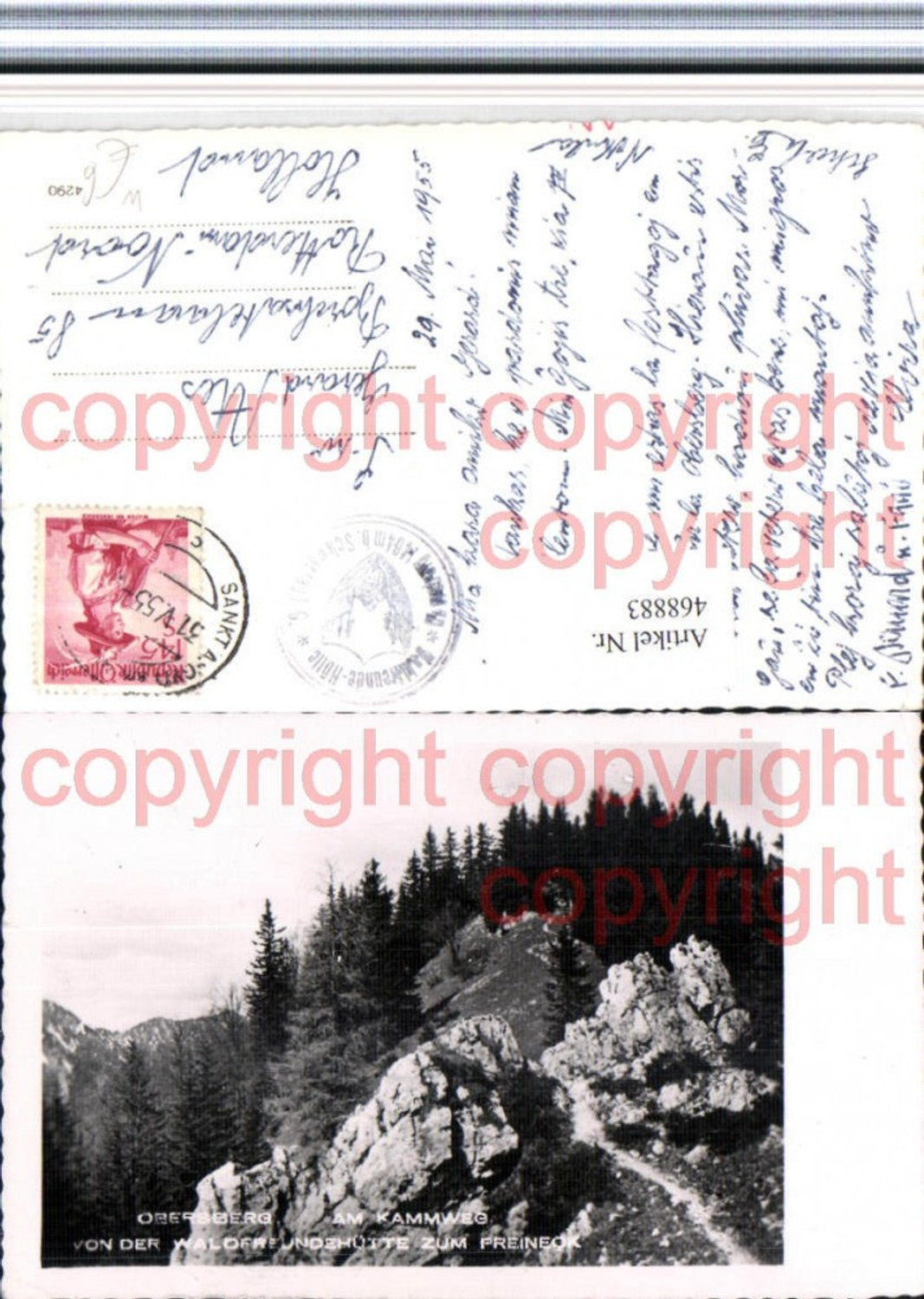 468883,Oberberg Kammweg von d. Waldfreundehütte zum Preineck b. Schwarzau