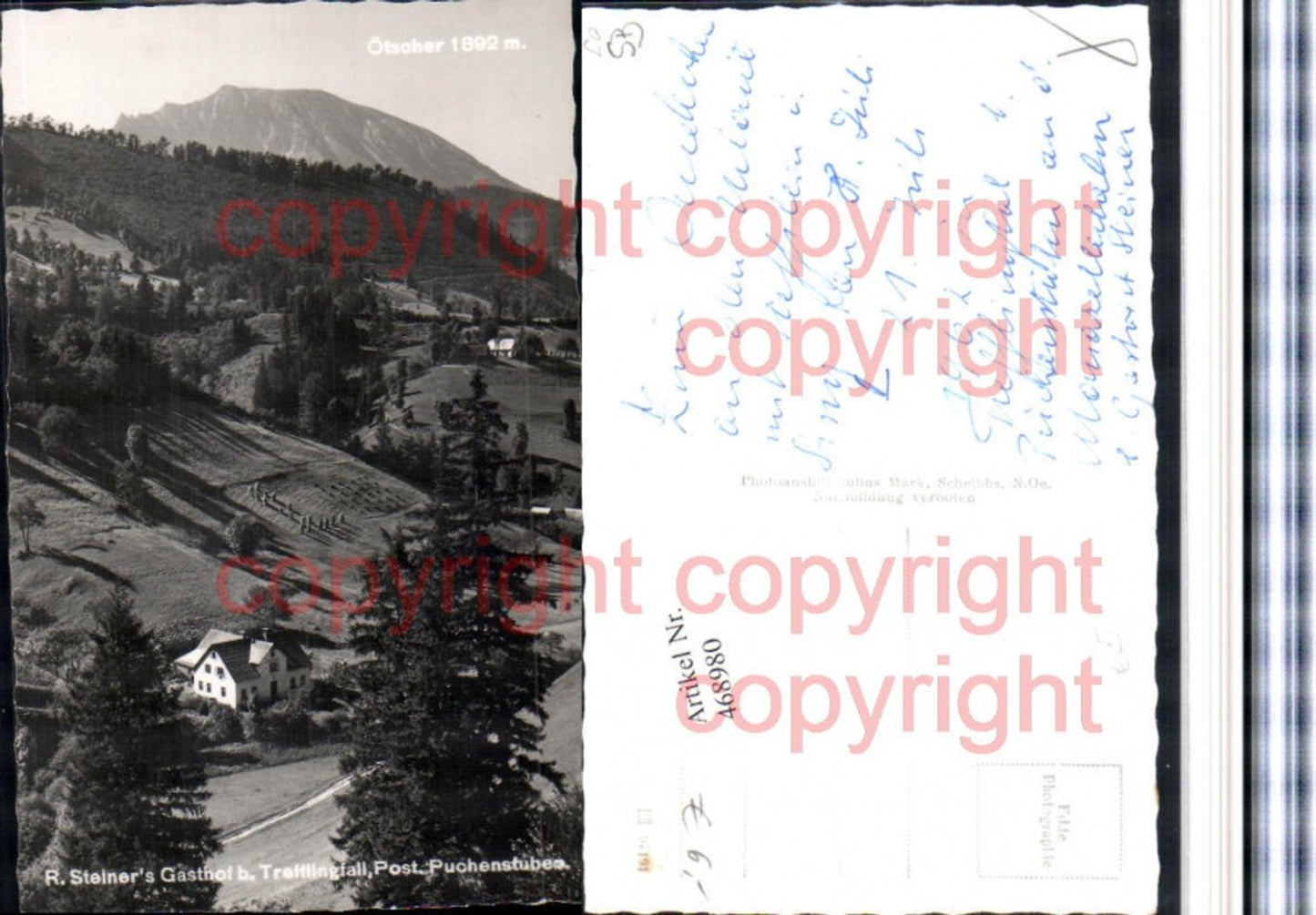468980,R. Steiners Gasthof b. Trefflingfall Puchenstuben m. Ötscher