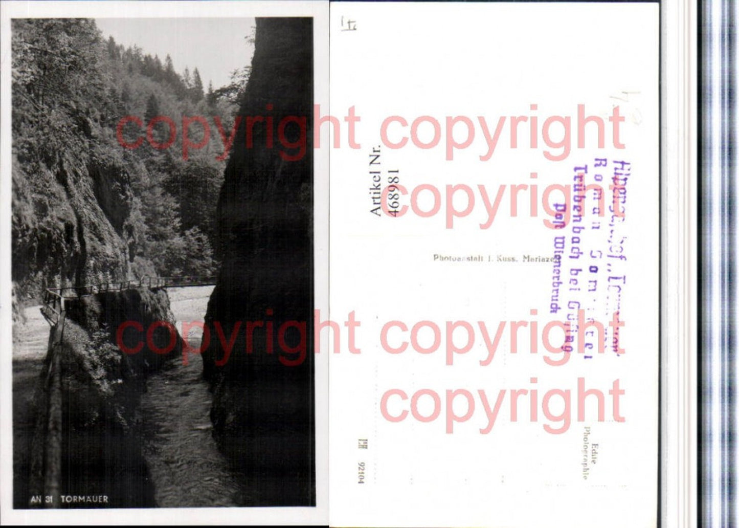 468981,Tormäuer b. Gaming Klamm Partie