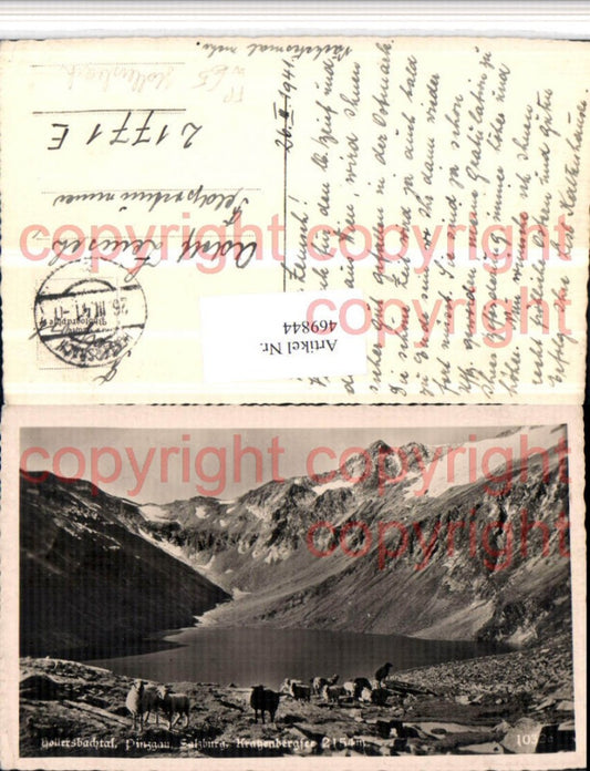 469844,Hollersbachtal See Schafe Bergkulisse Feldpost Nr. 21771 E