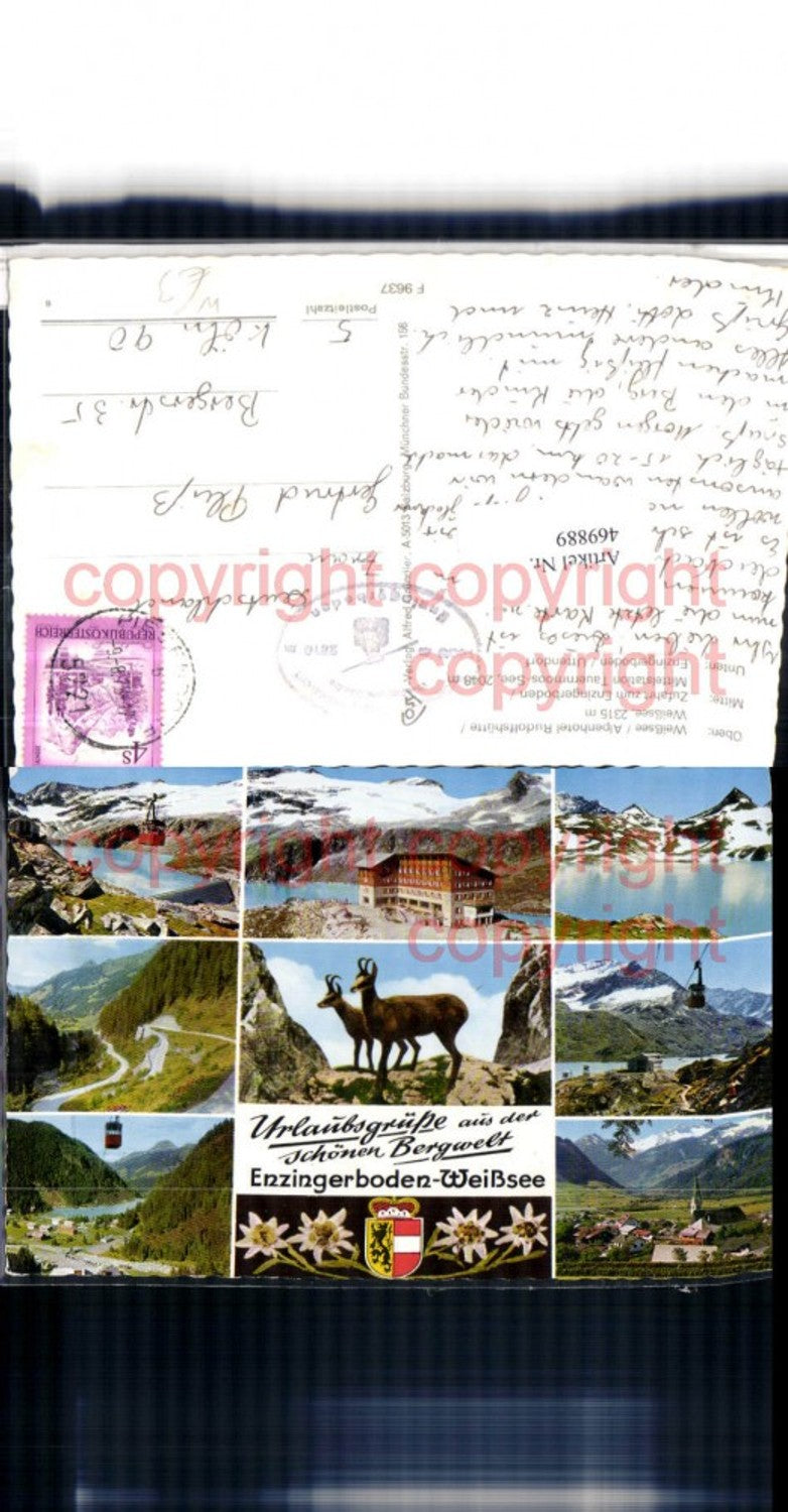 469889,Enzingerboden Weißsee b. Uttendorf Seilbahn Gämse Mehrbildkarte