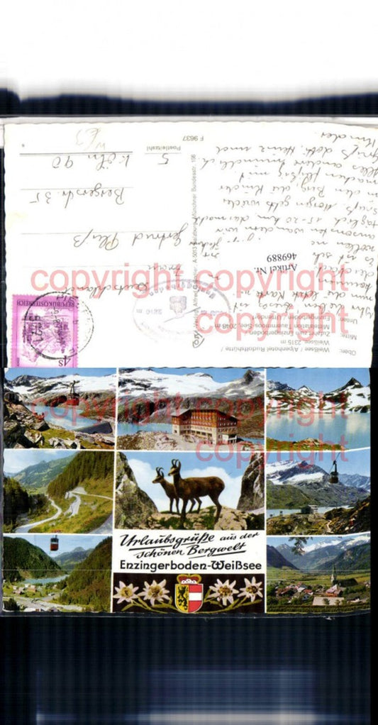 469889,Enzingerboden Weißsee b. Uttendorf Seilbahn Gämse Mehrbildkarte