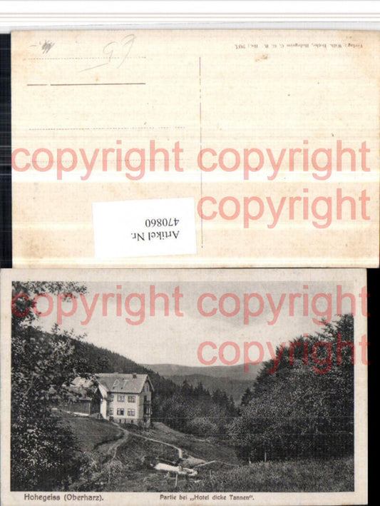 470860,Hohegeiß im Oberharz b. Braunlage Partie bei Hotel dicke Tannen