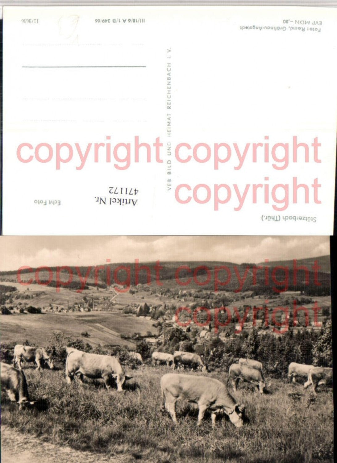 471172,Stützerbach Totale Rinder pub VEB