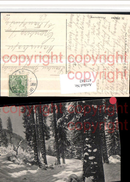 473382, St. Blasien Philosophenweg Path section Winter scene