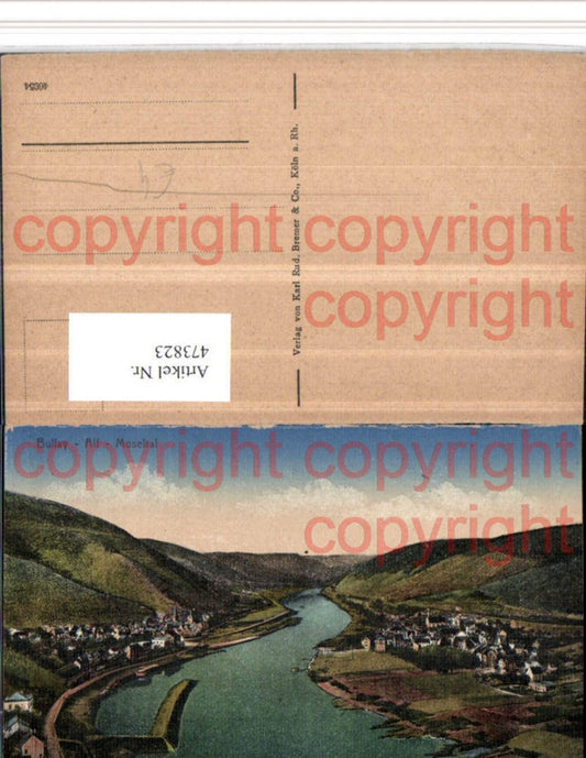 473823,Bullay Alf Moseltal Totale Fluss