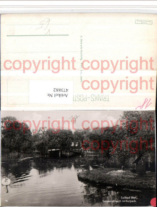 473882,Bad Werl Schwanenteich im Kurpark pub Trinks & Co 18