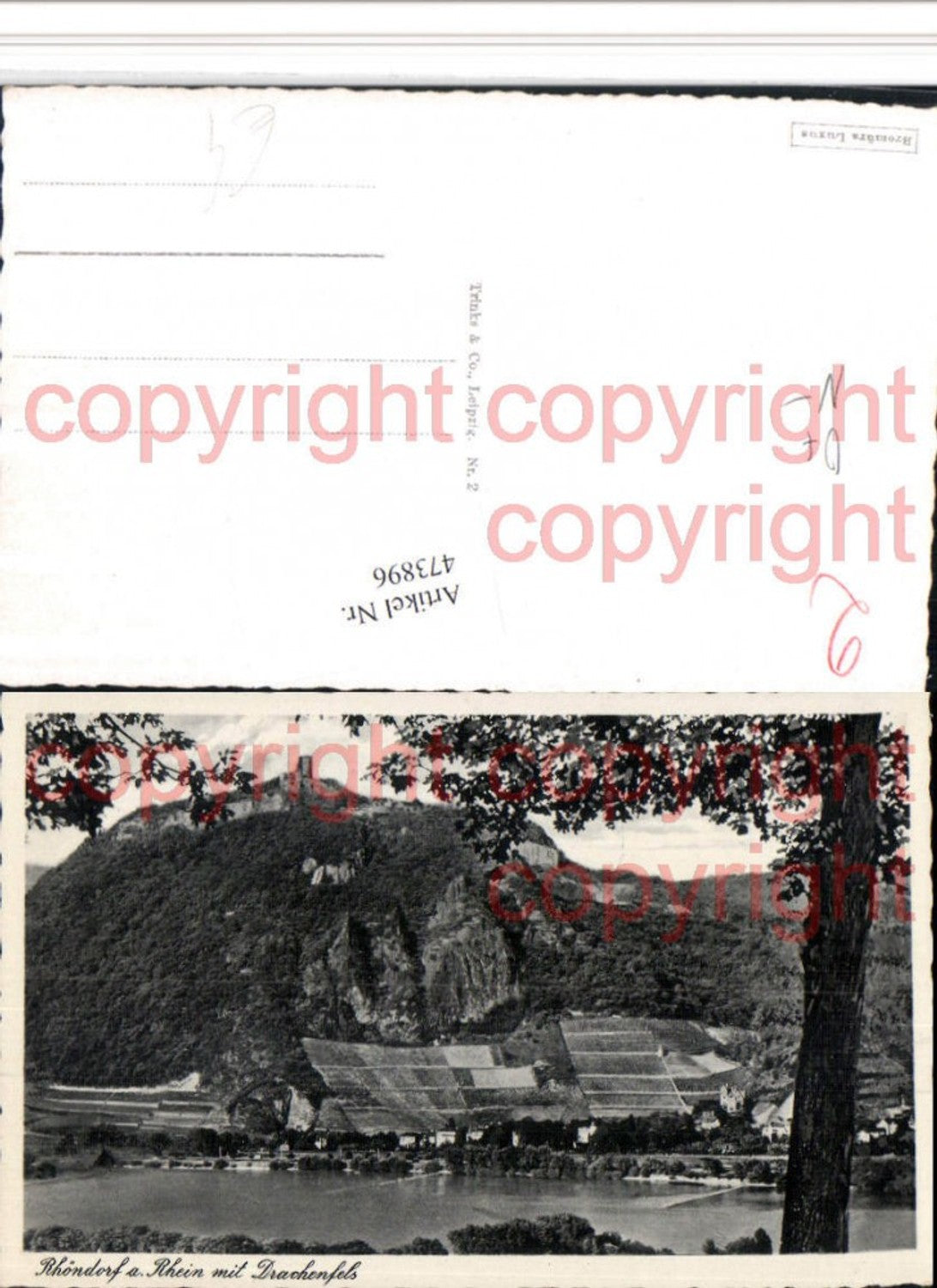 473896,Rhöndorf am Rhein m. Ruine Drachenfels