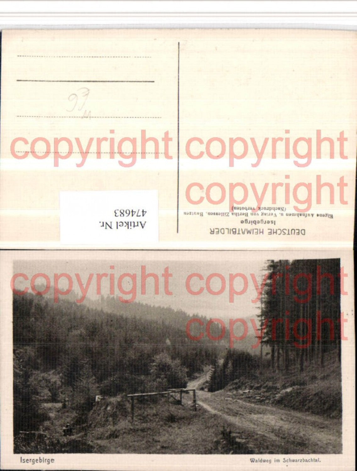474683,Isergebirge Waldweg im Schwarzbachtal b. Erlbach