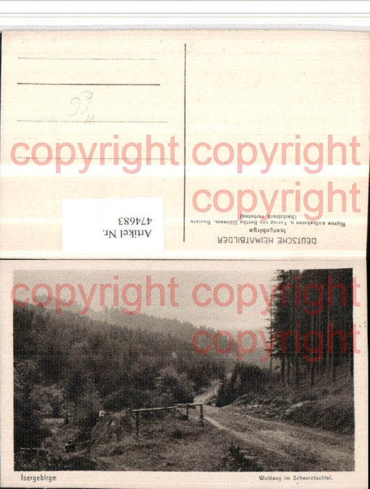 474683,Isergebirge Waldweg im Schwarzbachtal b. Erlbach